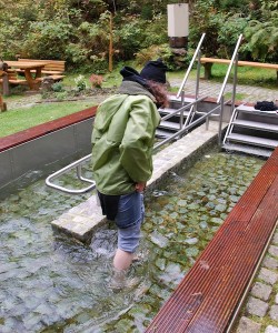 Tretbecken, durch das eiskaltes Quellwasser vom Berg fließt