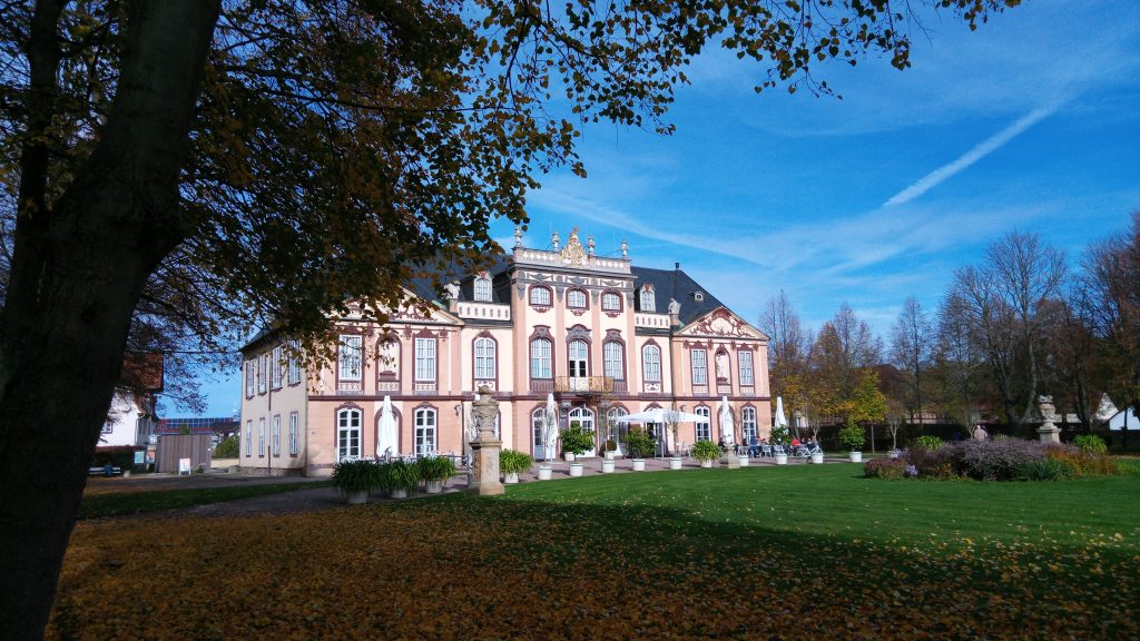 Barockschloss Molsdorf in der Mitte, vom Schlosspark aus fotografiert. Links ragt ein Laubbaum ins Bild. Fast Wolkenloser Himmel. Im Erdgeschoss sind einige Schirme aufgespannt. Das Schloss selbst ist eher ockerfarben, die Fenster haben eine braune Umrandung. 